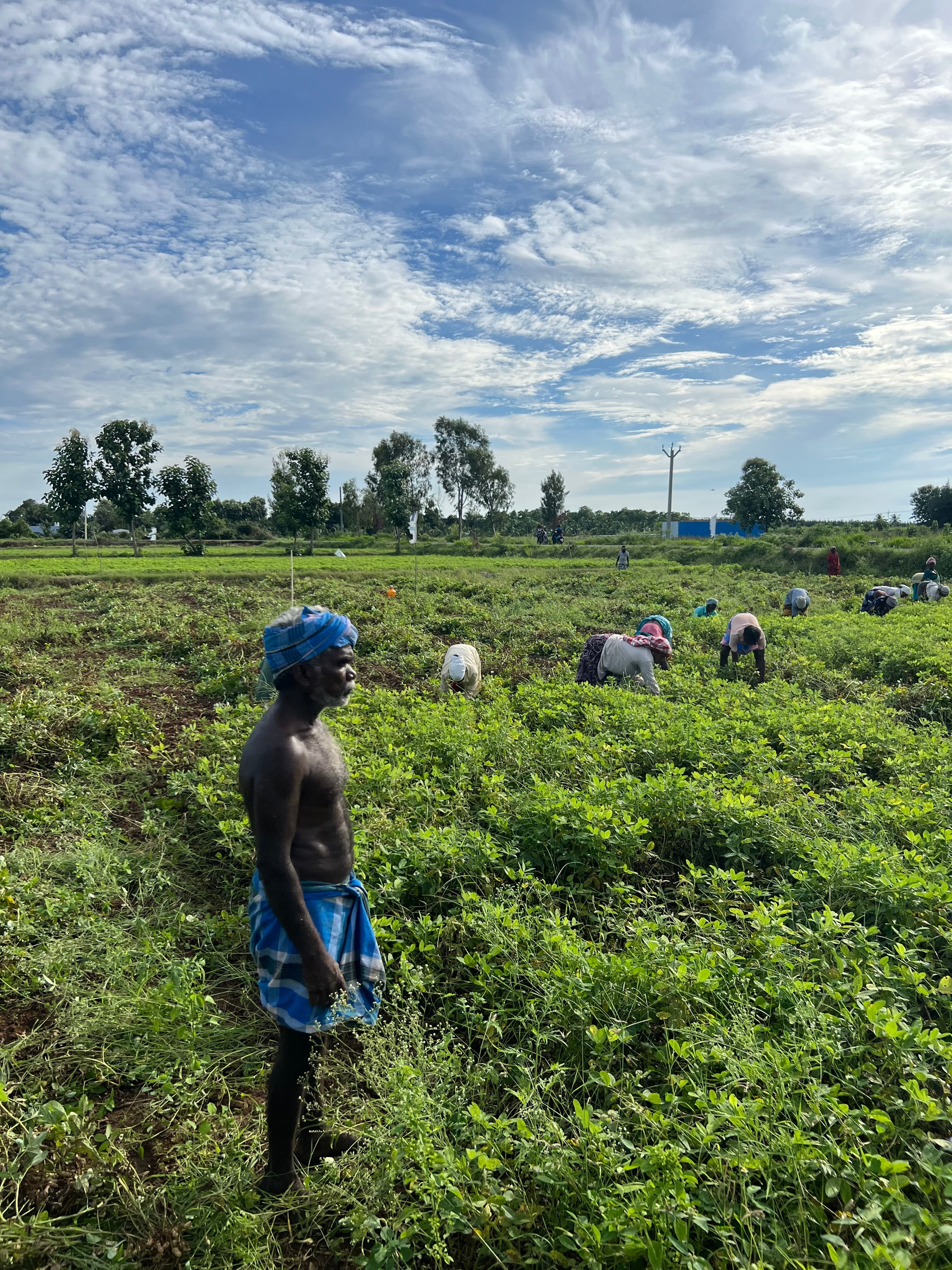 About Adhi Foundation Slide 5