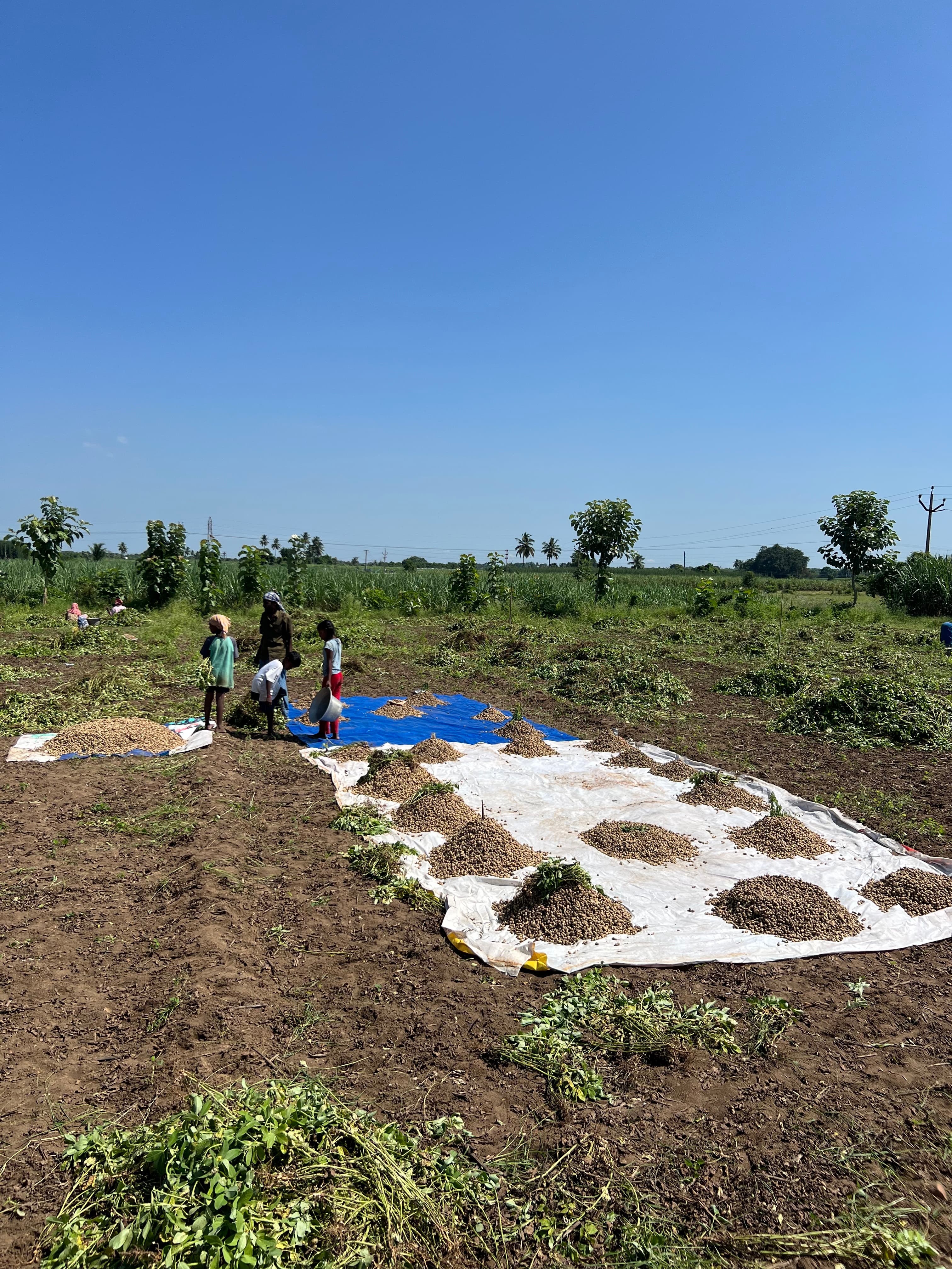 About Adhi Foundation Slide 4